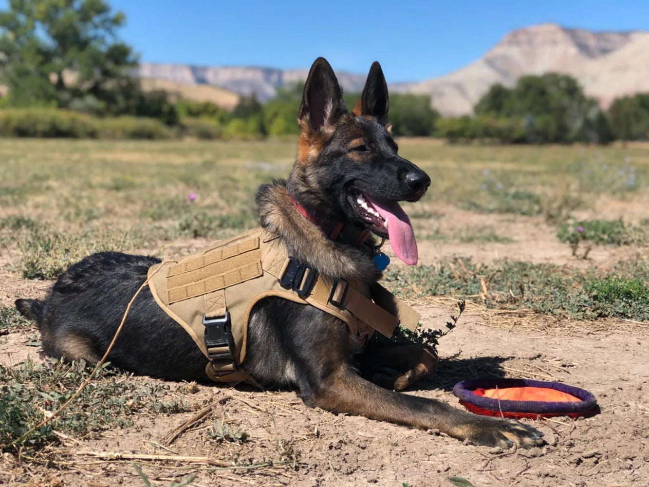 Military Tactical Dog Harness For German Shepherd Malinois French Bulldog