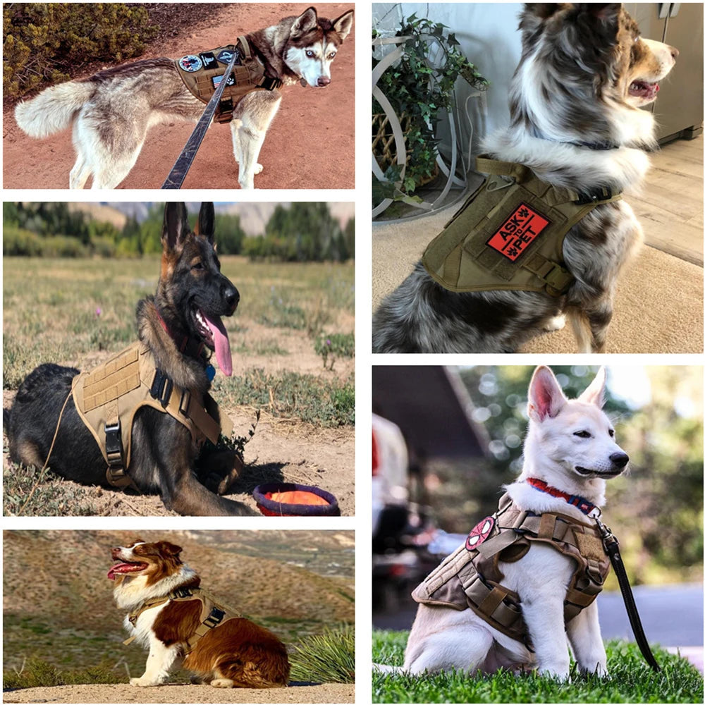 Military Tactical Dog Harness For German Shepherd Malinois French Bulldog