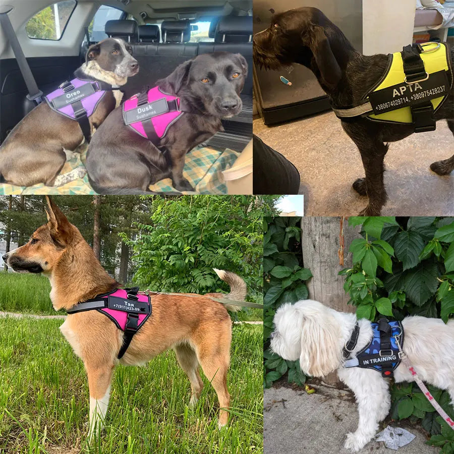 Customised Reflective Adjustable Dog Harness No Pull Breathable Pet Vest With ID Patch