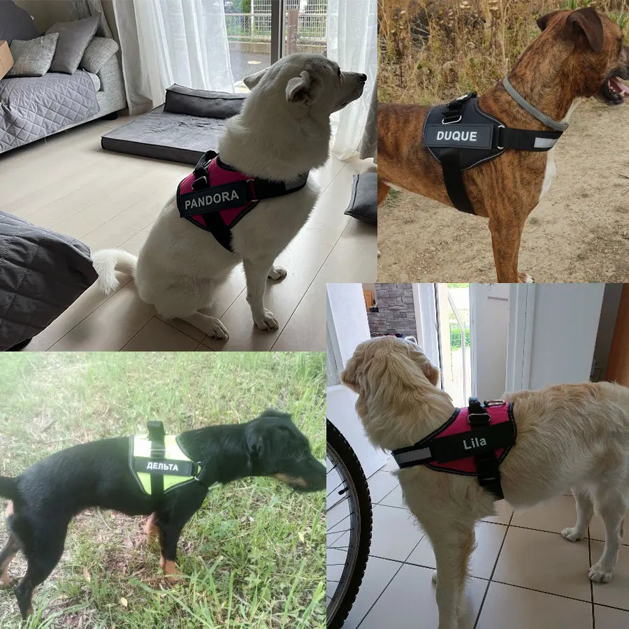Customised Reflective Adjustable Dog Harness No Pull Breathable Pet Vest With ID Patch
