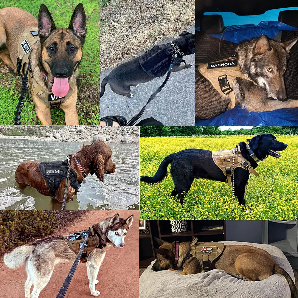 Military Tactical Dog Harness For German Shepherd Malinois French Bulldog